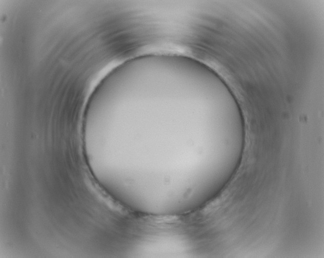 X0000089420864200707061317