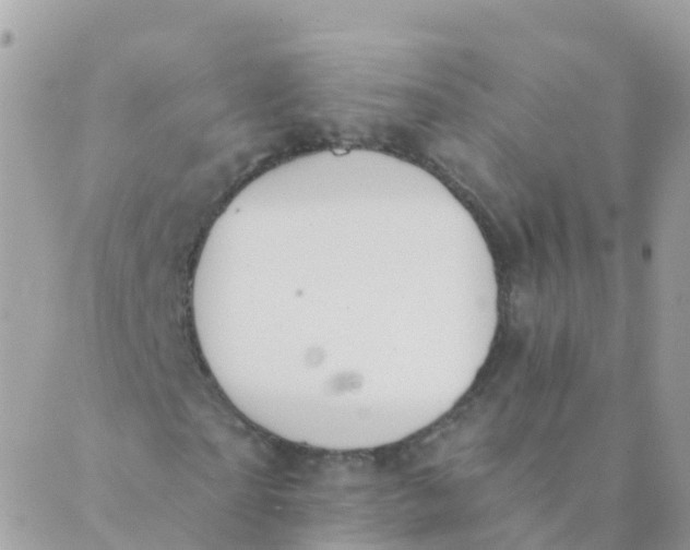 X0000089420865200707061316