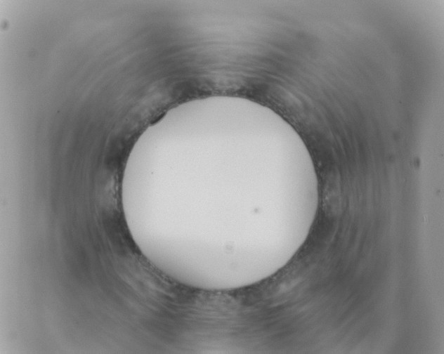 X0000089420866200707061316