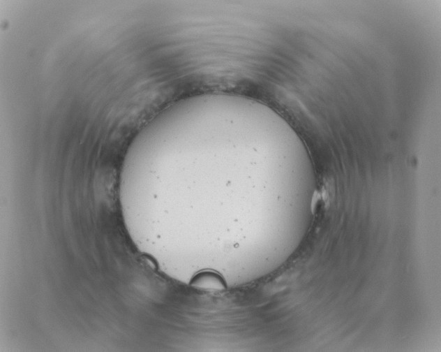 X0000089420867200707061316