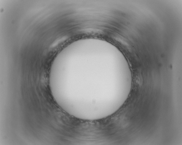 X0000089420869200707061316