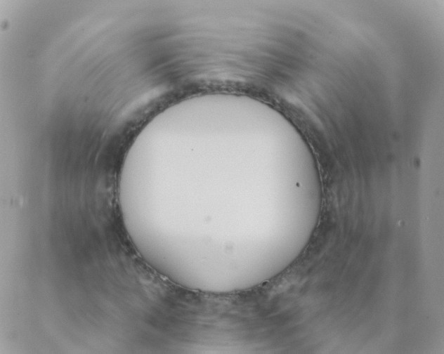 X0000089420870200707061316