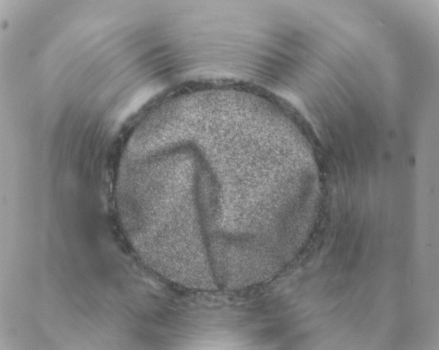 X0000089420871200707061316