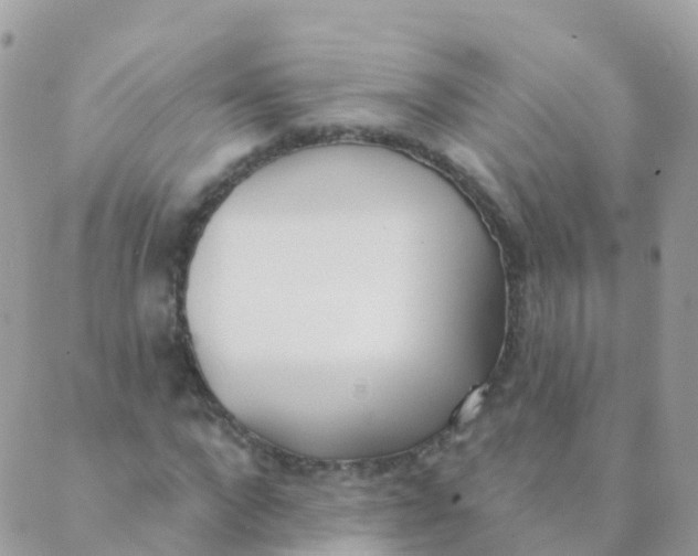 X0000089420872200707061316