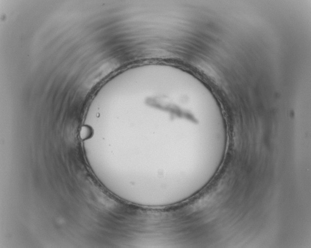 X0000089420873200707061316