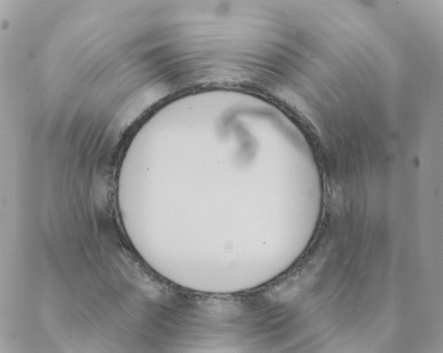 X0000089420874200707061316