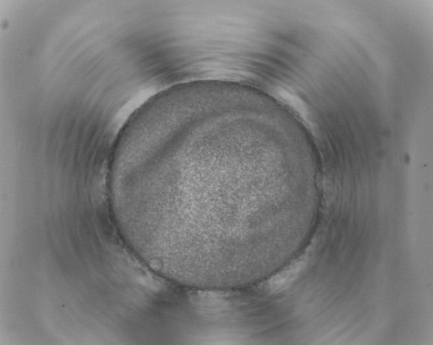 X0000089420875200707061316