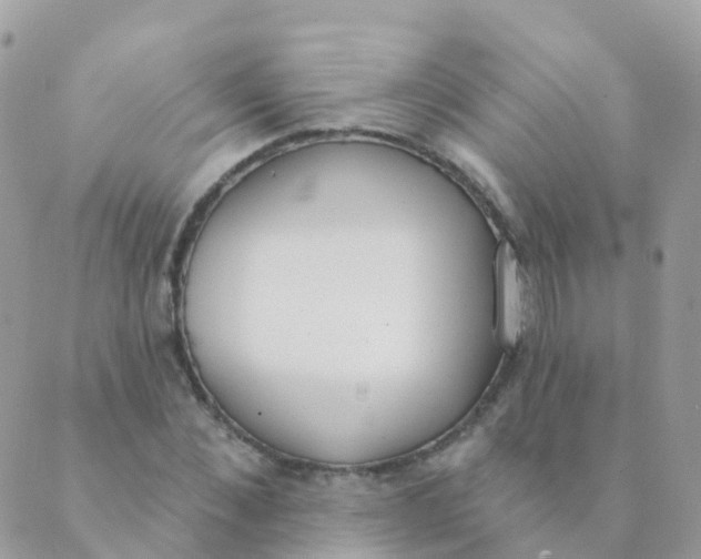 X0000089420876200707061316