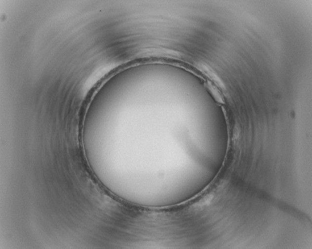 X0000089420877200707061316