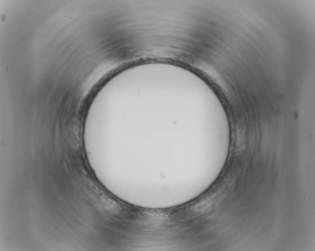 X0000089420878200707061316