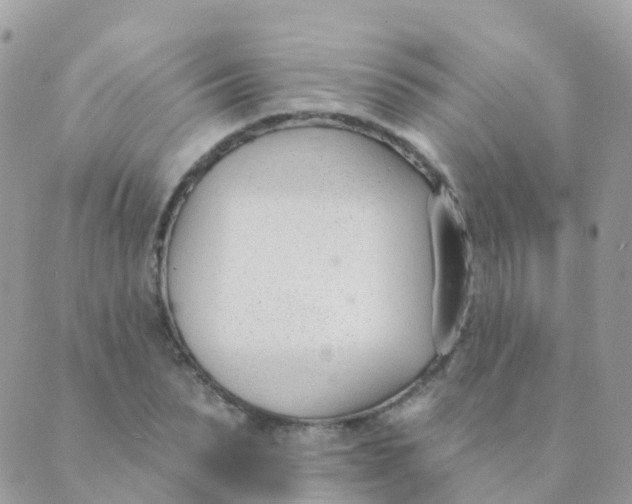 X0000089420879200707061316