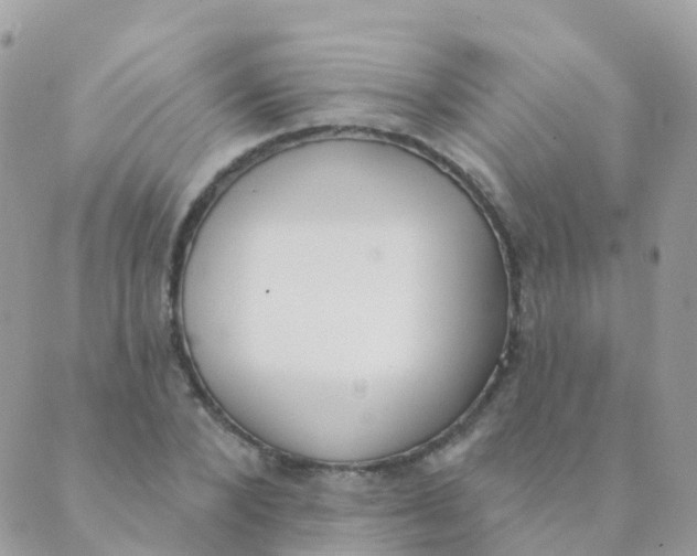 X0000089420880200707061316