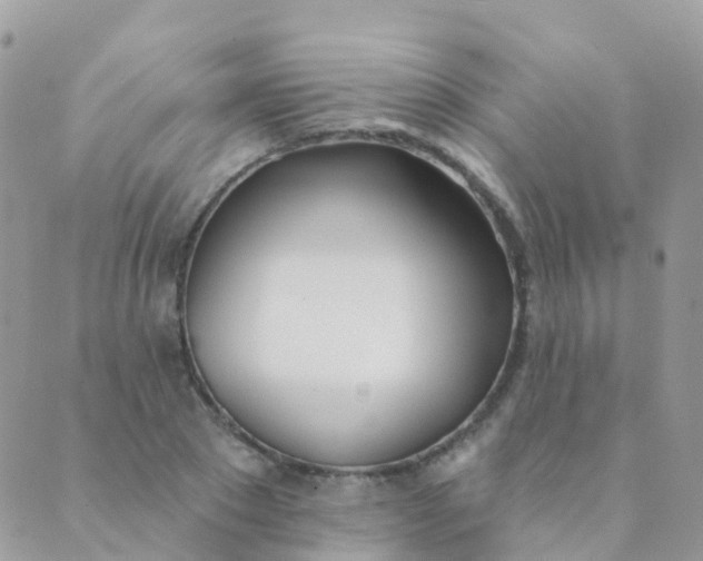 X0000089420881200707061316