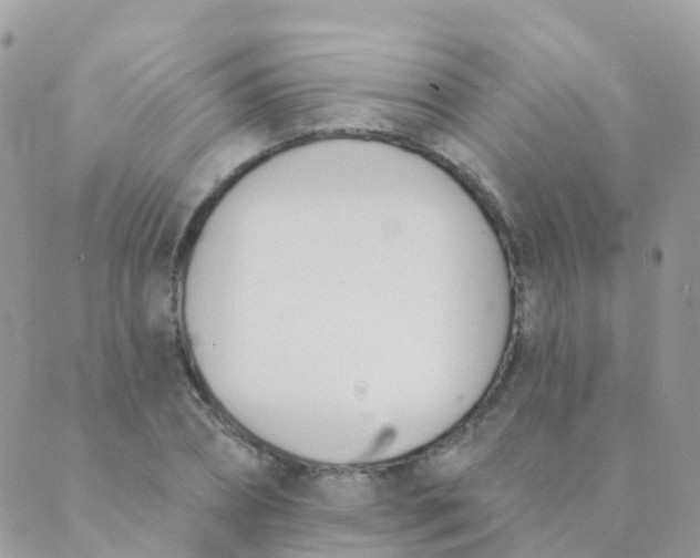 X0000089420882200707061316