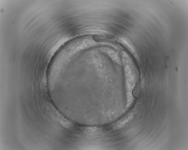 X0000089420883200707061316