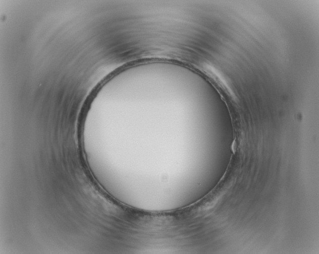 X0000089420884200707061316