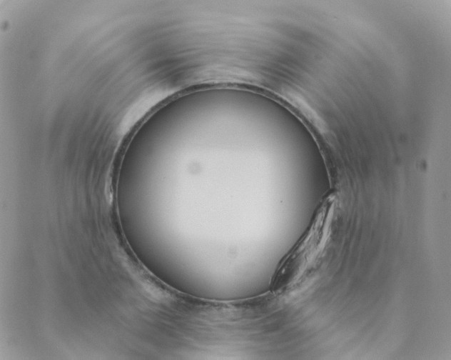 X0000089420885200707061316