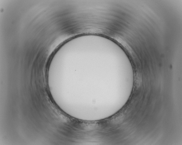 X0000089420886200707061316