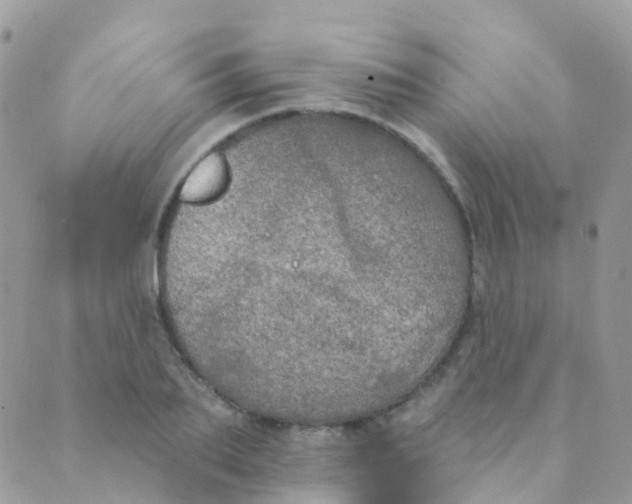 X0000089420887200707061316