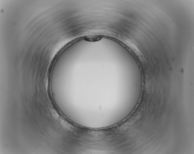 X0000089420888200707061316