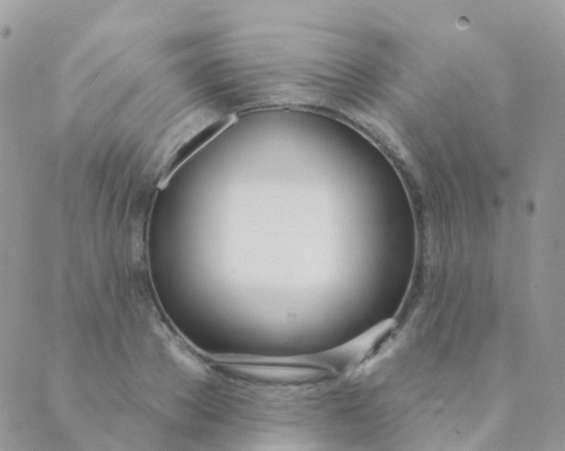 X0000089420889200707061316