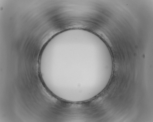 X0000089420890200707061316