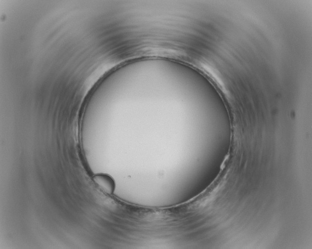 X0000089420891200707061316