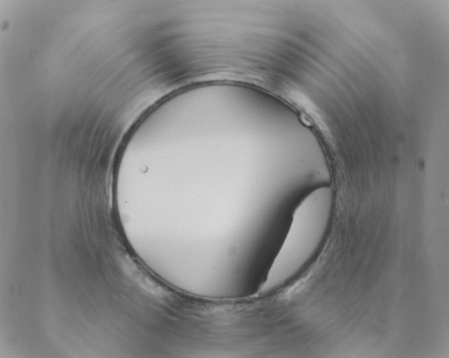 X0000089420892200707061316