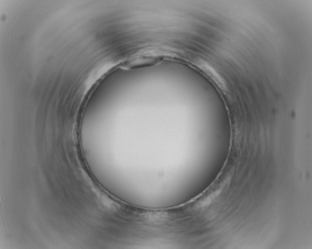 X0000089420893200707061316