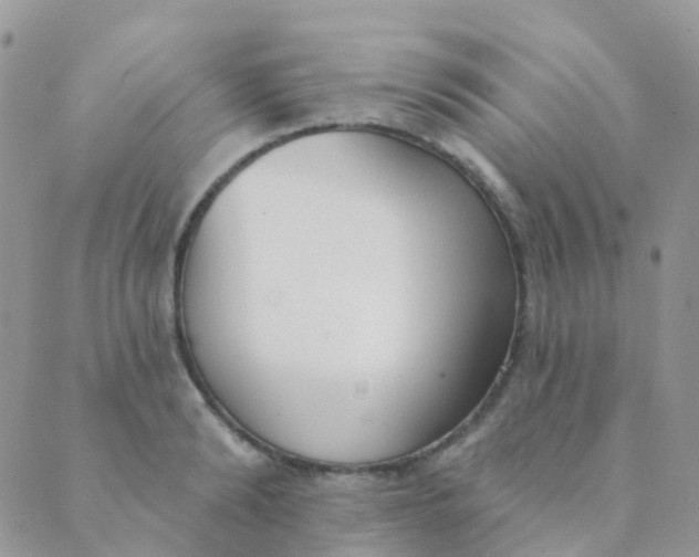 X0000089420894200707061316