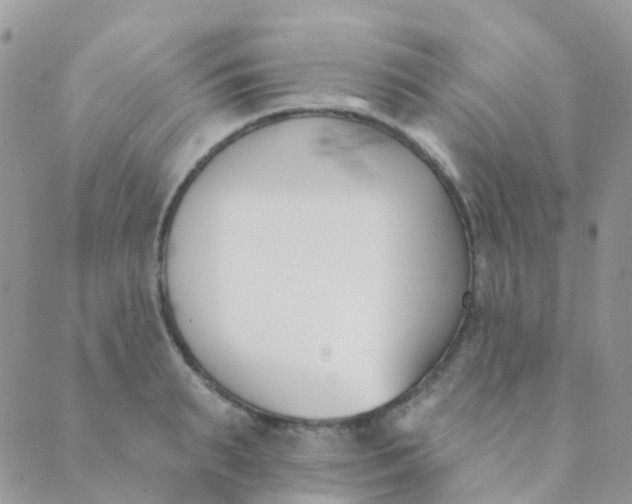 X0000089420895200707061316