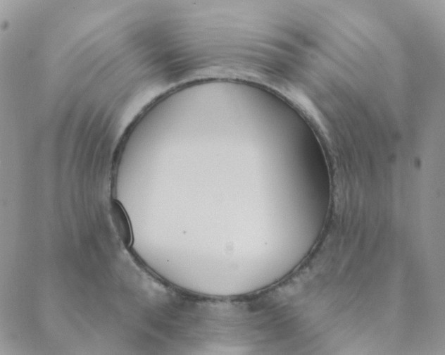 X0000089420896200707061316