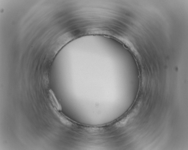 X0000089420897200707061316