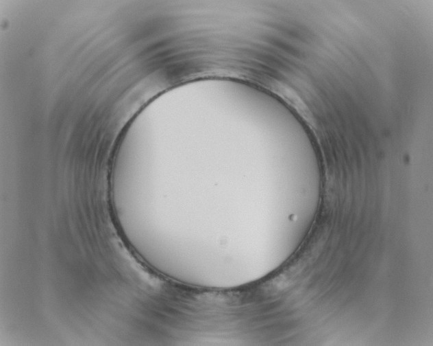 X0000089420898200707061316