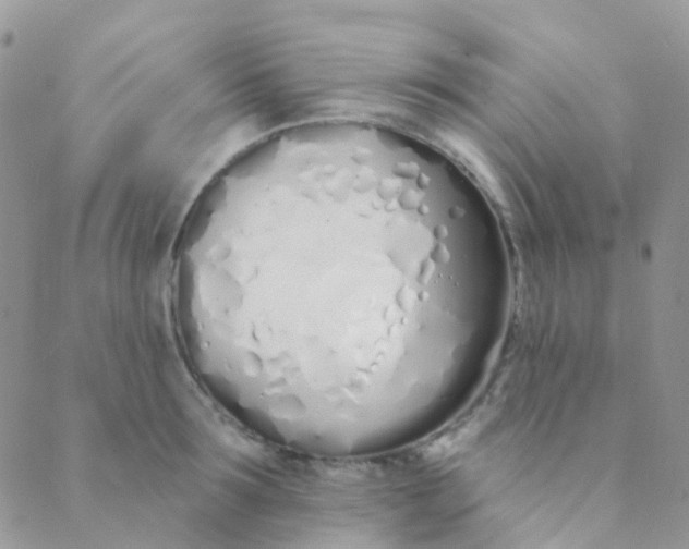 X0000089420899200707061316