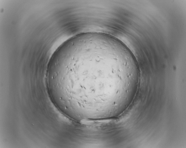 X0000089420901200707061316