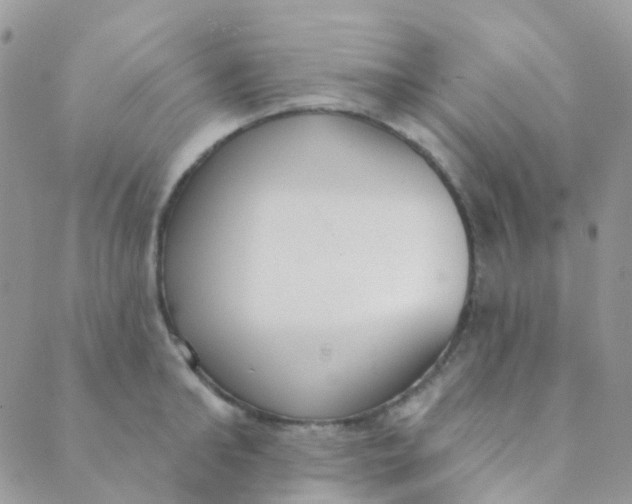 X0000089420902200707061316