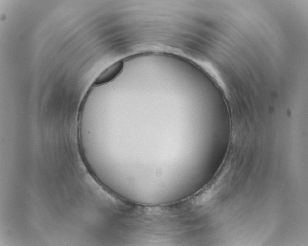 X0000089420903200707061316