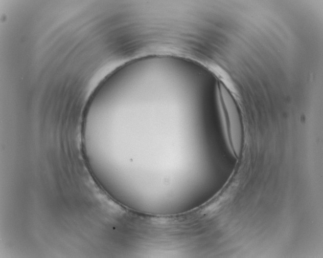 X0000089420904200707061316