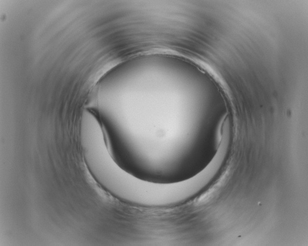 X0000089420905200707061316