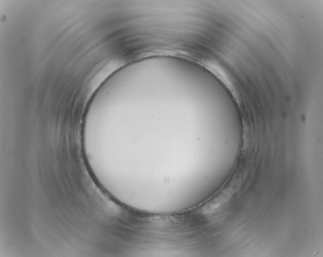 X0000089420906200707061316