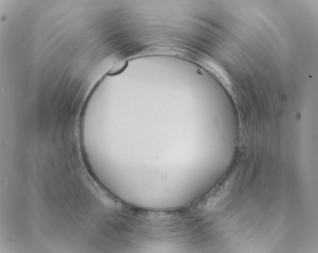 X0000089420907200707061316