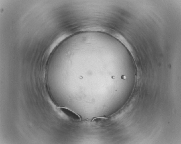 X0000089420909200707061316