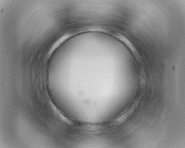 X0000089420910200707061316