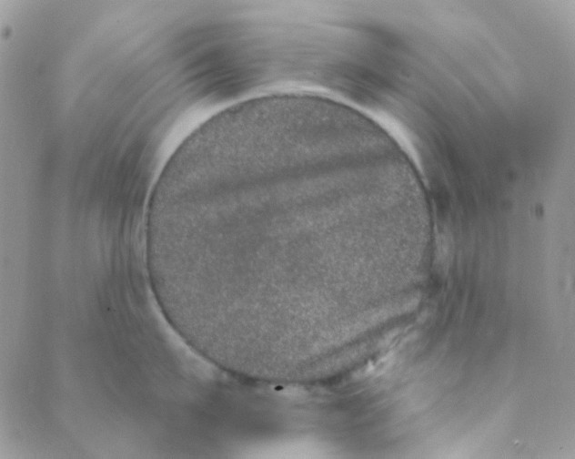 X0000089420911200707061315