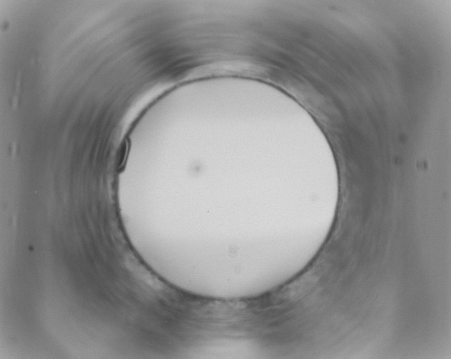 X0000089420912200707061315