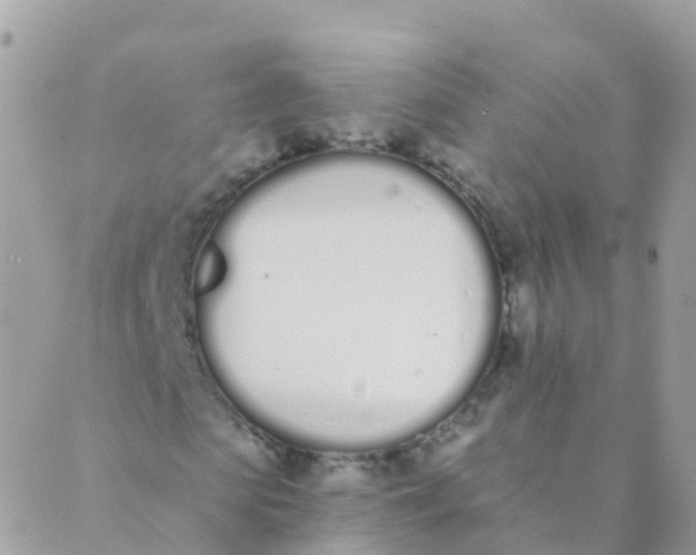 X0000089420913200707061315