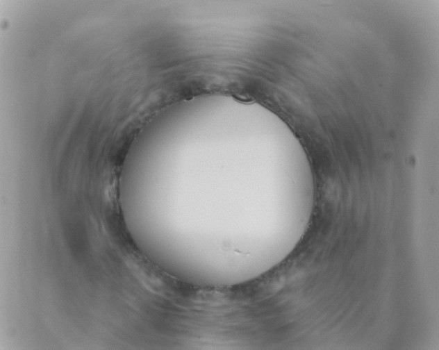 X0000089420914200707061315