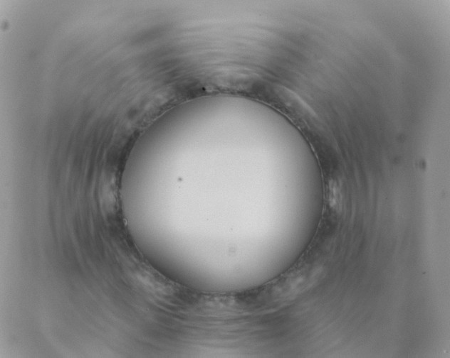 X0000089420915200707061315