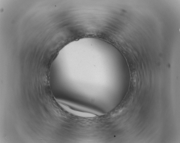 X0000089420916200707061315